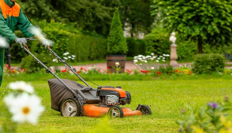 Yard & outdoor